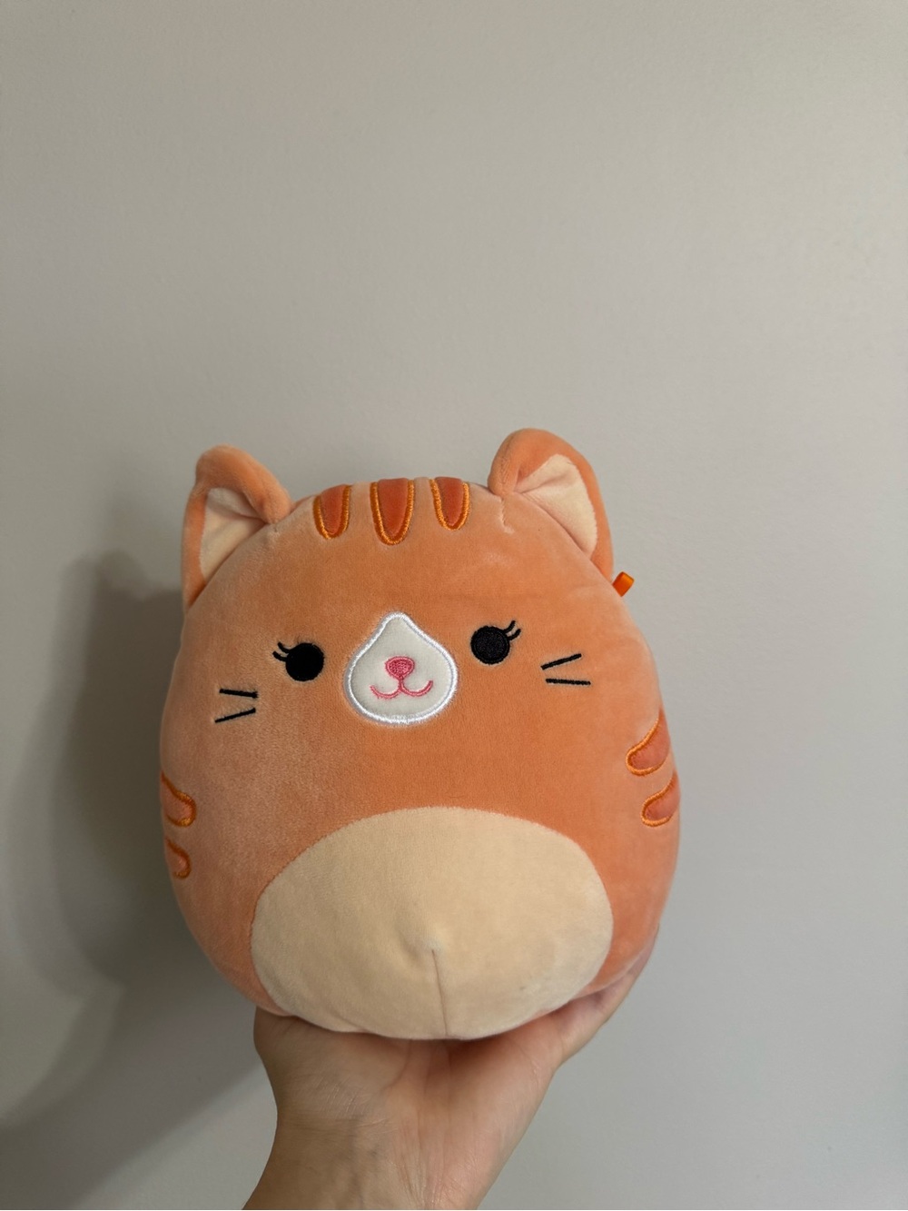 Gigi the Orange Cat Squishmallow